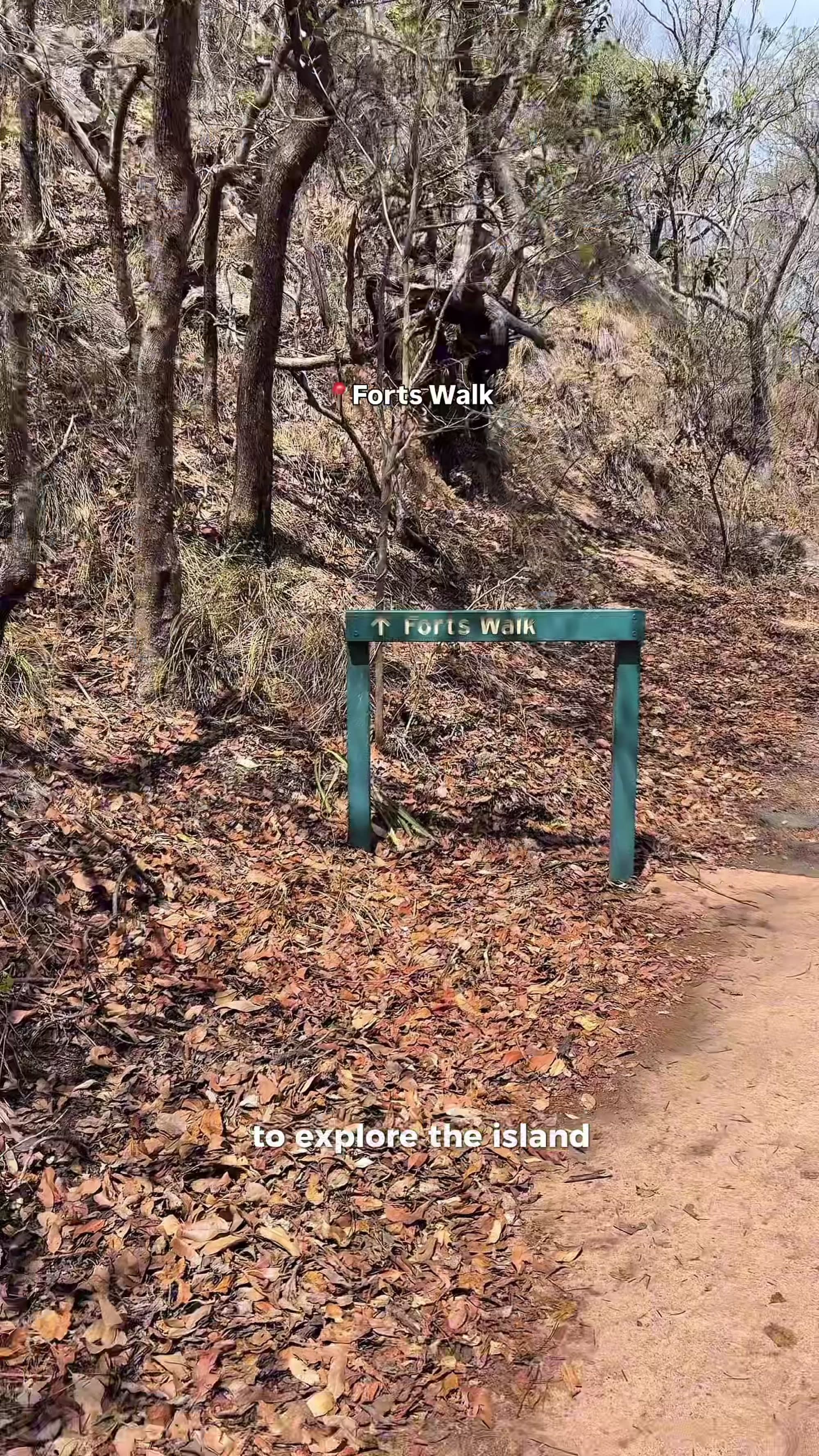 A bushwalking track on Magnetic Island